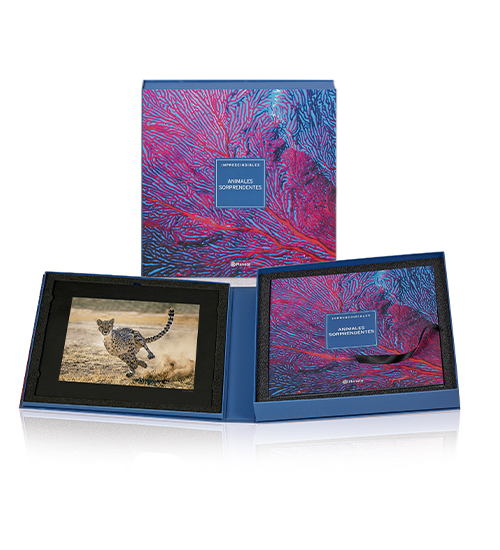 Imprescindibles. Animales sorprendentes